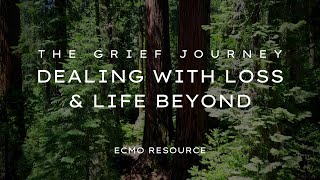 The Grief Journey - Dealing with Loss and Life Beyond