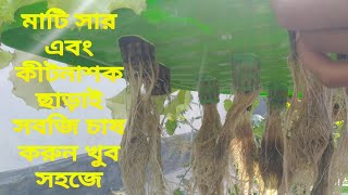 মাটি সার কীটনাশক ছাড়াই ছাদে সবজি চাষ করুন খুব সহজে