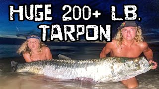 HUGE 200+ Tarpon Gets Sharked By A 13 FOOT Hammerhead!! Complete Story