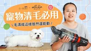 如何方便清除家中狗毛貓毛?讓寵物旅館闆娘告訴你 | ABUBU X9濕拖無線吸塵器