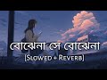 Bojhena Se Bojhena | বোঝেনা সে বোঝেনা | Arijit Singh | Slowed And Reverb | Bangla Sad Lofi Song