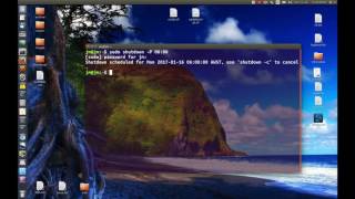 Issue the shutdown command in Linux Ubuntu