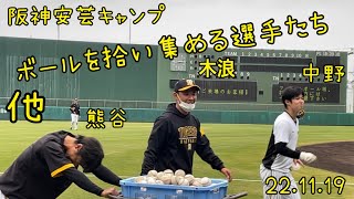 阪神安芸キャンプでのボール集めシーン　ファールボールを返してもらう熊谷他　阪神タイガース秋季キャンプ　22.11.19