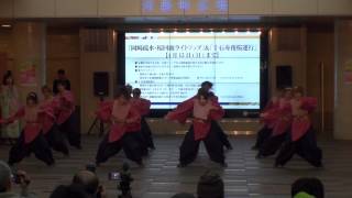 京都チーム「櫻嵐洛」　～京都さくらよさこい2012(ゼスト御池会場)