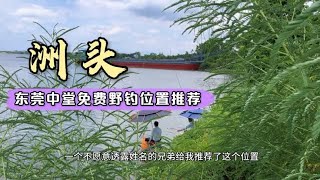 东莞中堂免费野钓位置推荐