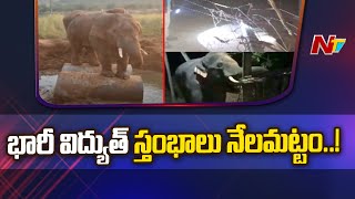 పార్వతీపురం మన్యం జిల్లాలో గజరాజుల బీభత్సం | Ntv