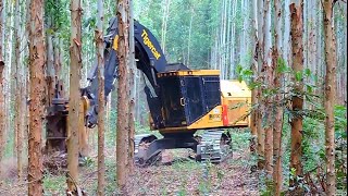 SUPER CEPAT!!!! INILAH ALAT BERAT PEMOTONG POHON KAYU BESAR DIHUTAN