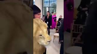 Kylie Jenner and Irina Shayk pulls up the same lion head dress #kyliejenner #ytshorts #viral