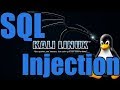 OWASP A1 SQL Injection Labs Pt 2