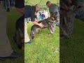 k9 demo this is amazing