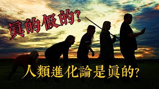 人類根本不是進化來的，真正的人類已經滅絕了?【W Channel】