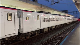 313次 經南迴線 往台東 EMU3000型新自強號 到達終點站台東站～