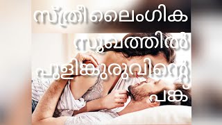 സ്ത്രീ ലൈംഗിക സുഖത്തിൽ പുളിങ്കുരു വിന്റെ പങ്ക്