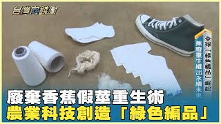 廢棄香蕉假莖重生術 農業科技創造「綠色編品」 20250301【台灣向錢衝】PART4