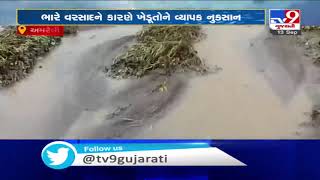 Heavy rain leaves farms waterlogged, farmer worried | Amreli | Tv9GujaratiNews