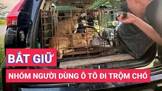 Bắt nhóm người dùng ô tô đi trộm chó, rải đinh chống trả khi bị phát hiện