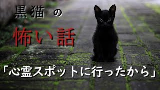 【怖い話】【朗読】【黒猫の怖い話】「心霊スポットに行ったから」　投稿者　有野優樹様　奇々怪々より