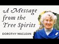 An Important Message from the Trees, Dorothy Maclean