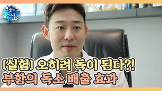 [실험] 오히려 독이 된다?! 부항의 독소 배출 효과 MBN 221202 방송