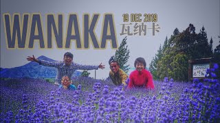 瓦纳卡 Wanaka 19/12/2019 新西兰