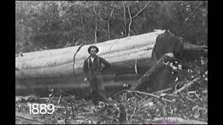 History Video of Edmonds