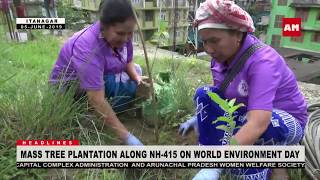 MASS TREE PLANTATION BY APWWS \u0026 CAPITAL ADMINISTRATION