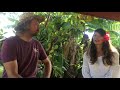 coconut farm punakea palms interview with cm monteleone and kai mcphee