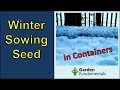 Winter sowing seeds in containers (for fast germination)