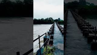 pravara Riverside |Pravara river flows at its full capacity