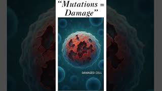 Mutations Cannot Build Life