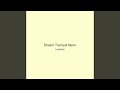 Dream Tranquil Neon
