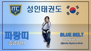 Taekwondo Promotion Test - Blue Belt