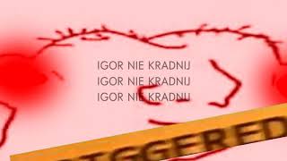 IGOR NIE KRADNIJ OK