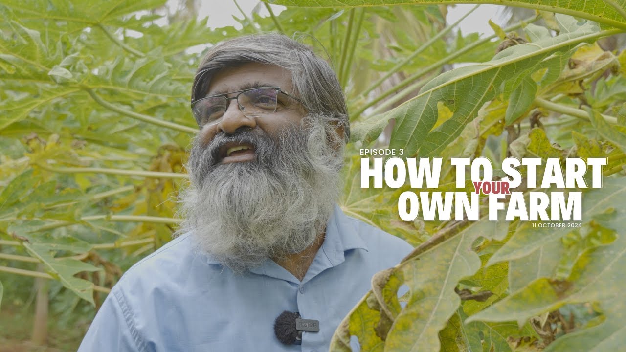 A Beginner S Guide To Growing Organic Food Youtube Music