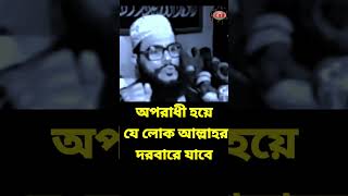 অপরাধী হয়ে যে লোক আল্লাহর দরবারে যাবে | allama delwar hussain saidi waz #saidiwaz #সাঈদী_ওয়াজ