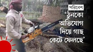 বৈশাখী মঞ্চের জন্য কাটা হলো দুই যুগ পুরনো তিনটি গাছ | Deforestation