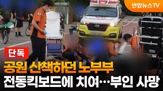 [단독] 공원 산책하던 노부부, 전동킥보드에 치여…부인 사망 / 연합뉴스TV (YonhapnewsTV)