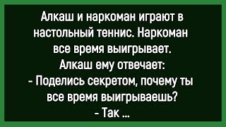 🔥Как Алкаш И Наркоман Играли В Настольный Теннис! Сборник Смешных Анекдотов! Юмор! Позитив!