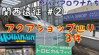 2021年　関西遠征　＃2　アクアショップ巡り　アクアノートタチバナさん　トロピカルフィッシュ佐野さん　アクアショップKGさん