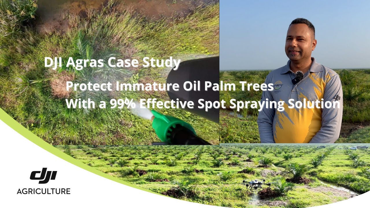 Protect Immature Oil Palm Trees With A 99% Effective Spot Spraying ...