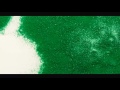 Forevermore - Empath