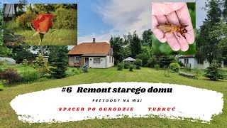 #6 vlog. Remont starego domu. Zwiedzamy ogród, polujemy na Turkucia podjadka. Montujemy kamerę WiFi