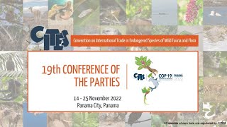 CITES CoP19 Committee II - Day 1, Session 1: 15 November 2022 (English)