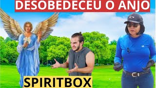 ESPÍRITO NÃO OBEDECE AOS ANJOS, E  PAGA CARO PELA DESOBEDIÊNCIA.  #SPIRITBOX,