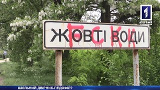 Двірник чіплявся до школярок