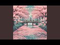 Petal Storm