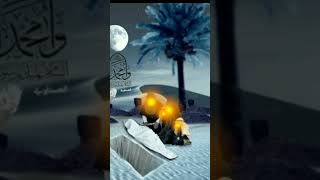 কবরের জীবন পরকাল || The life of the grave is the afterlife sl#shorts#god#allah