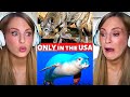 USA only animals - Scary to Cute | Irish Girl Reaction