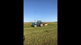 Cutting Silage and Hay with the Ford and the Haybine