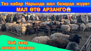 ТЕЗ КАБАР эми Нарында  |  КОЧКОРДОГУ мал базарды тарттык  |   КОЙ, КОЗУ, КОЧКОР баалары